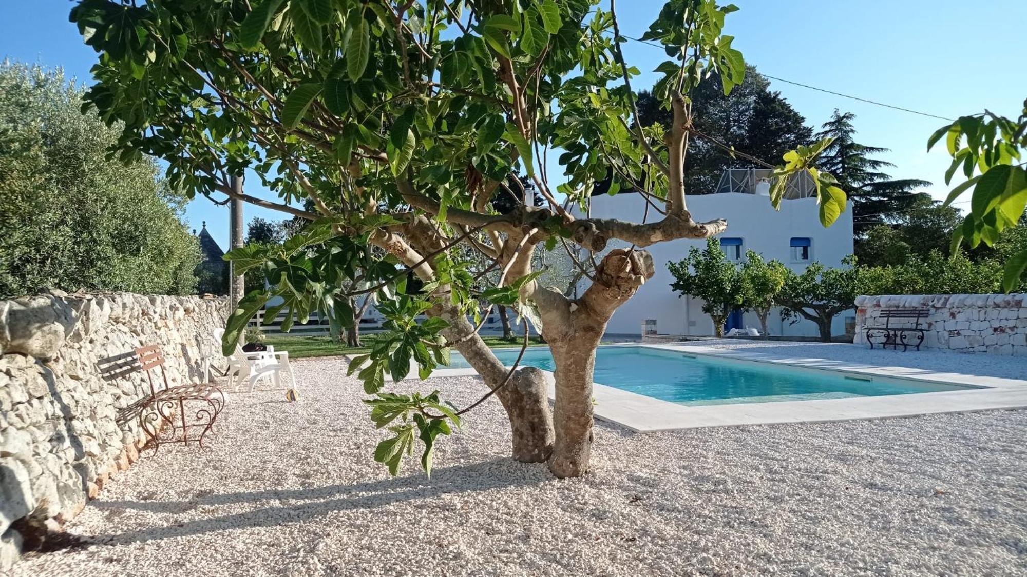 Casa Vacanze Villa Greca Мартіна-Франка Екстер'єр фото